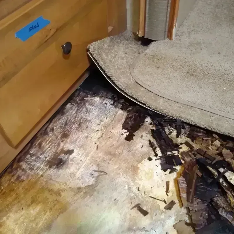 Best Wood Floor Water Damage Service in Emerson Hill, NY